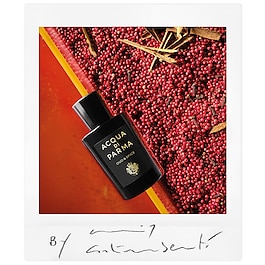 Oud & Spice